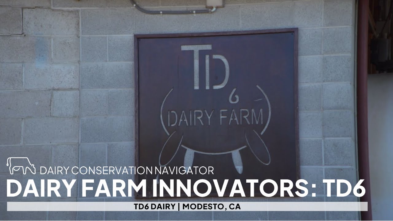 Family Dairy Grows from 115 to 650 Cows in Modesto, California