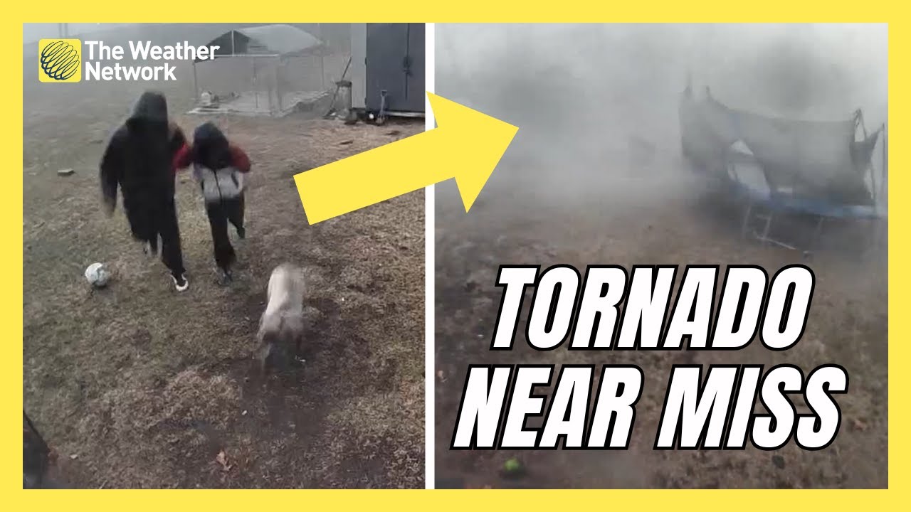 Family Saves Dog Moments Before Tornado Destroys Kennel