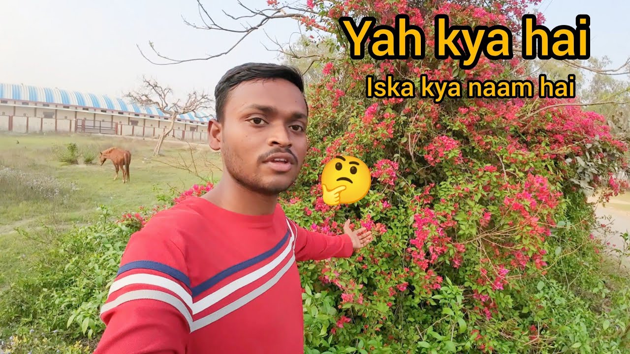 Ab Tak Ka Sabse Alag Vlog 😲