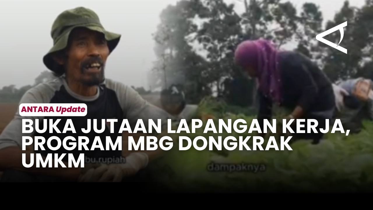 Program MBG Buka Jutaan Lapangan Kerja Hingga Dongkrak UMKM