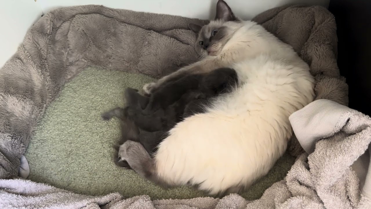 Feeding time