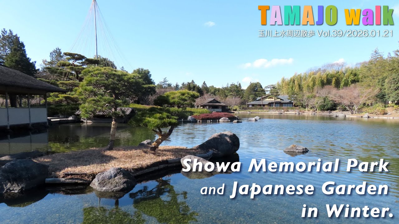 Showa Memorial Park and Japanese Garden in Winter.