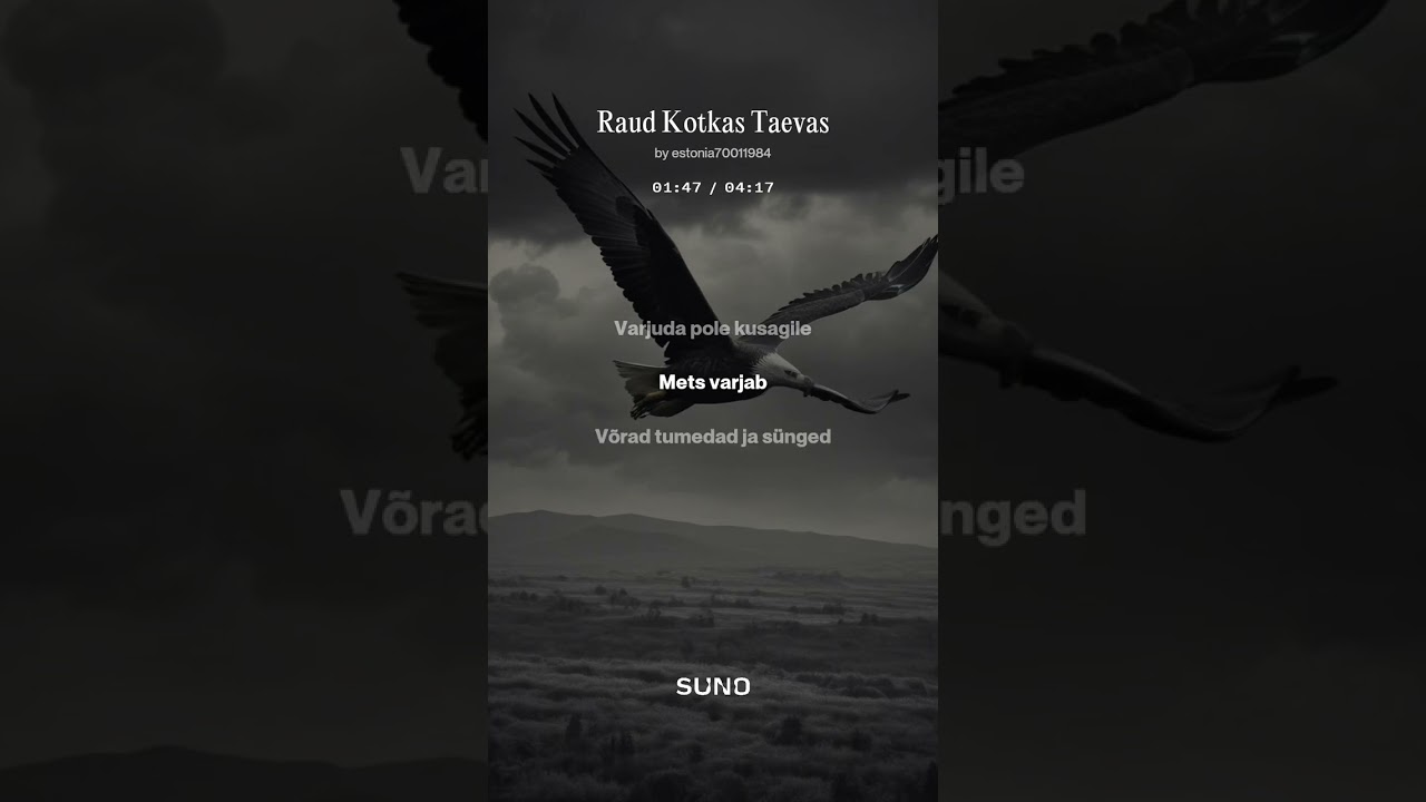 Raud Kotkas Taevas 2