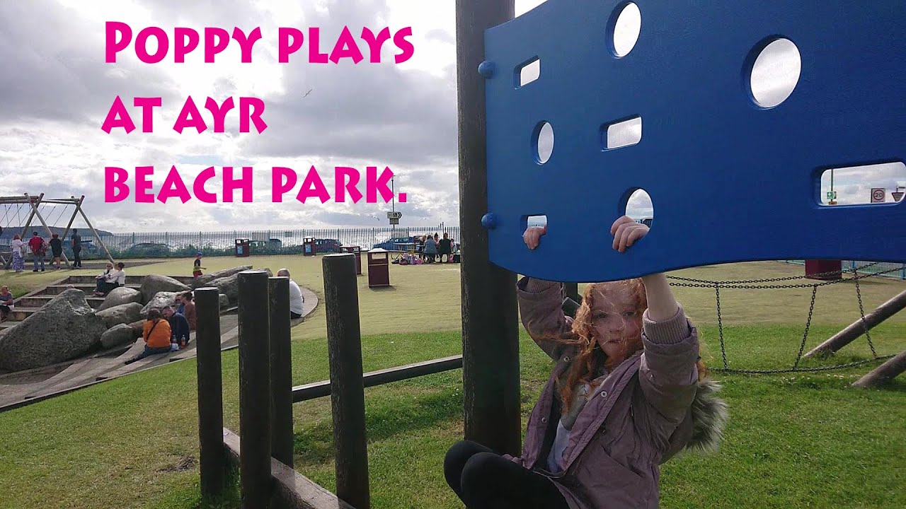 Ayr beach park with Poppy.