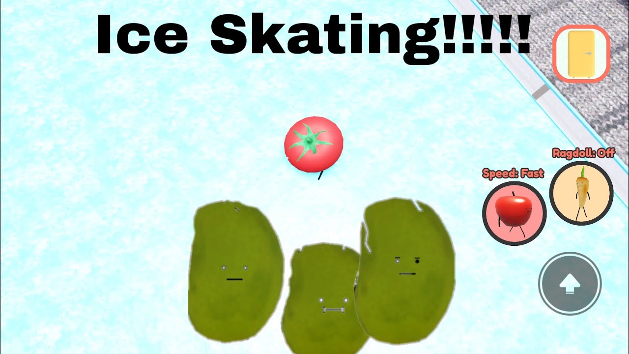 Ice Skating with the Silly WILLYS! 