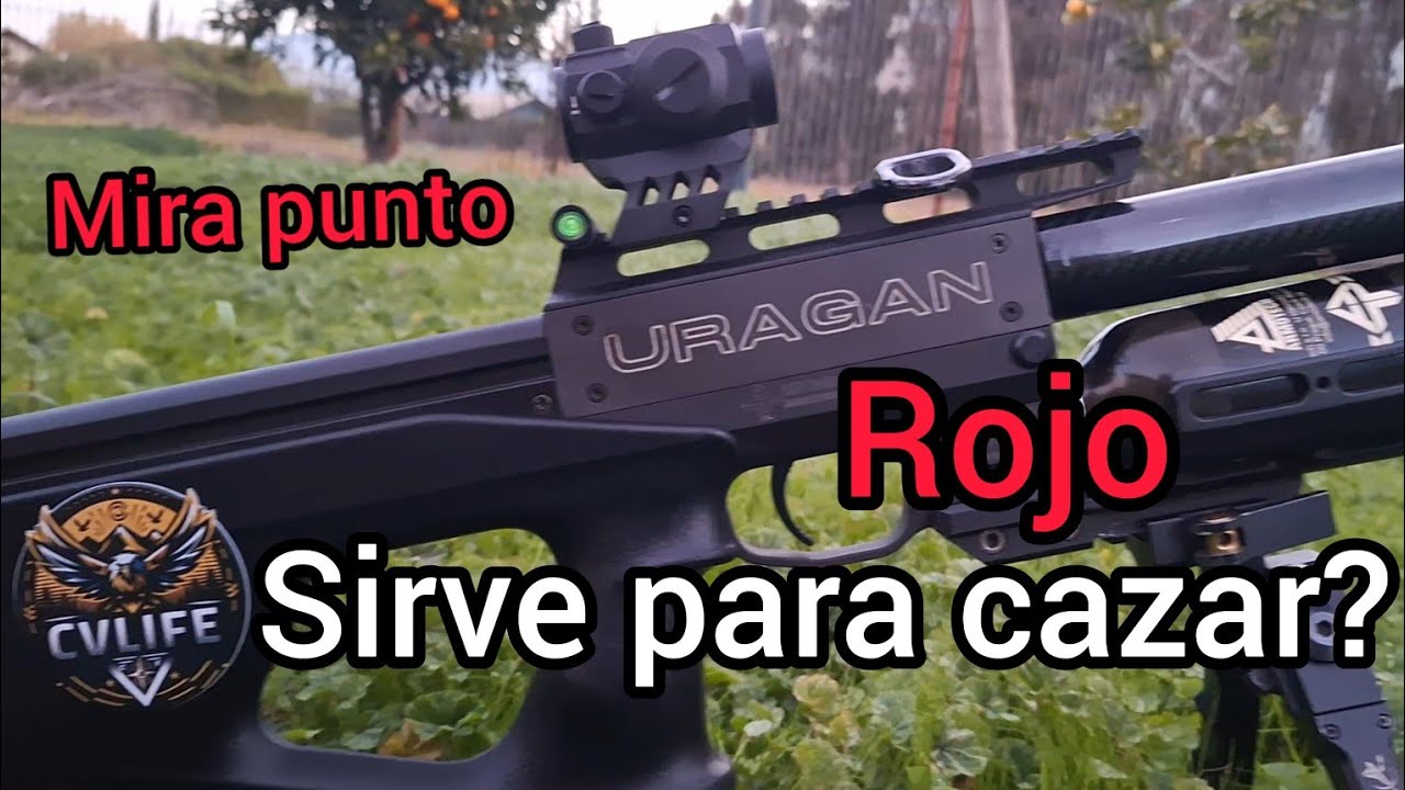 mira punto rojo lo que necesitas saber