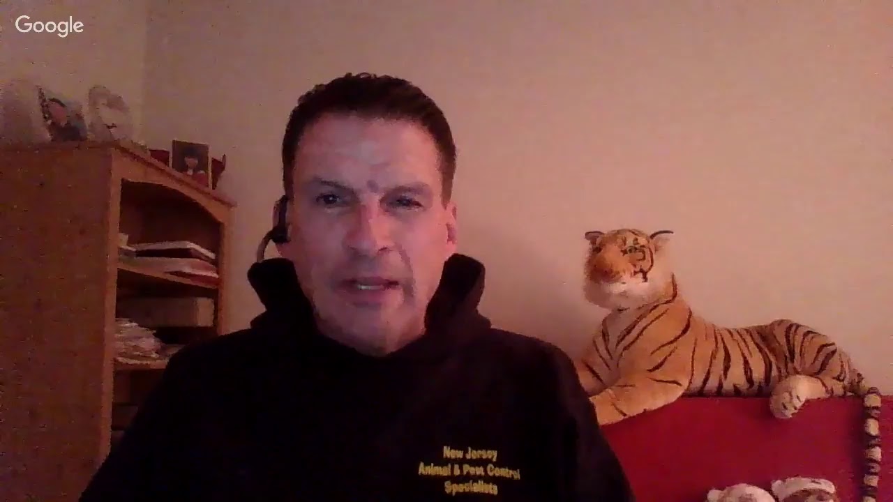 PEST CONTROL TOMS RIVER NJ - CALL TODAY (732) 664-5667