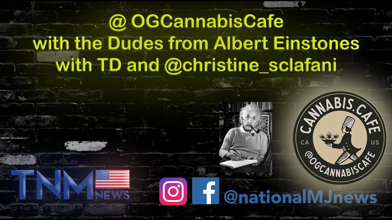 Interview with Q, Sunny and Ty from Albert Einstones