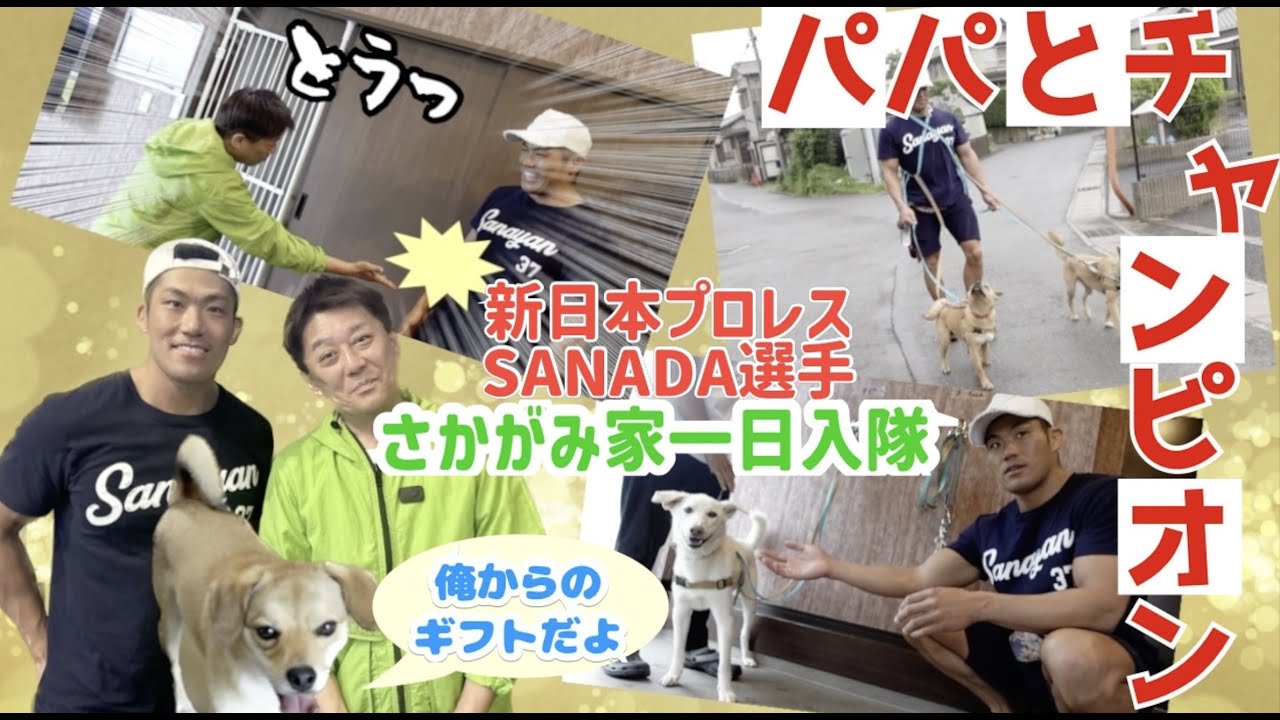 【新日本プロレスSANADA選手】～さかがみ家1日お世話体験〜