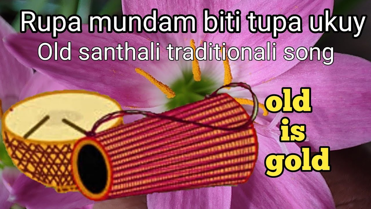 Bargi latar rattin gajar rupa mundam biti tupa ukuy santhali old song #santhalisong