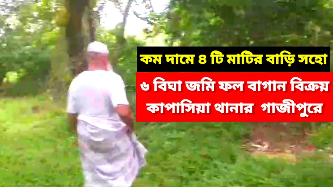 কম দামে ৬ বিঘা ফল বাগান বিক্রয় | ৪ টি মাটির বাড়ি সহো | Farm Land sale Gazipur kapasia