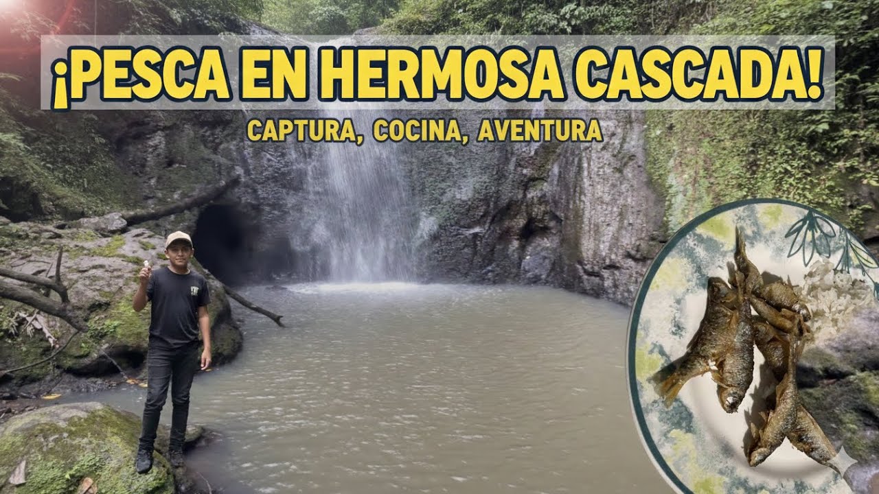 Pesca en hermosa cascada de sardinas muy grandes, pesca y cocina🐟🐟🙏