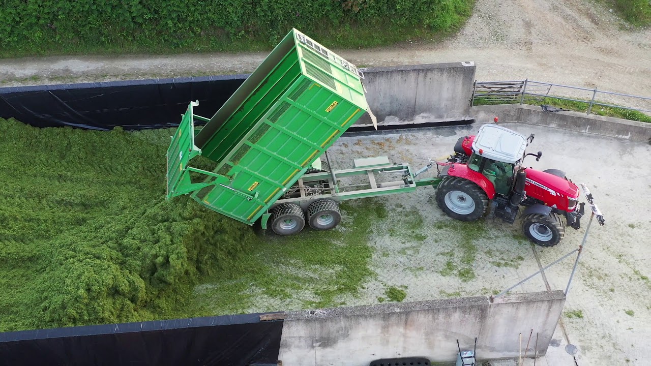 West Wales 1st Cut Silage 2019