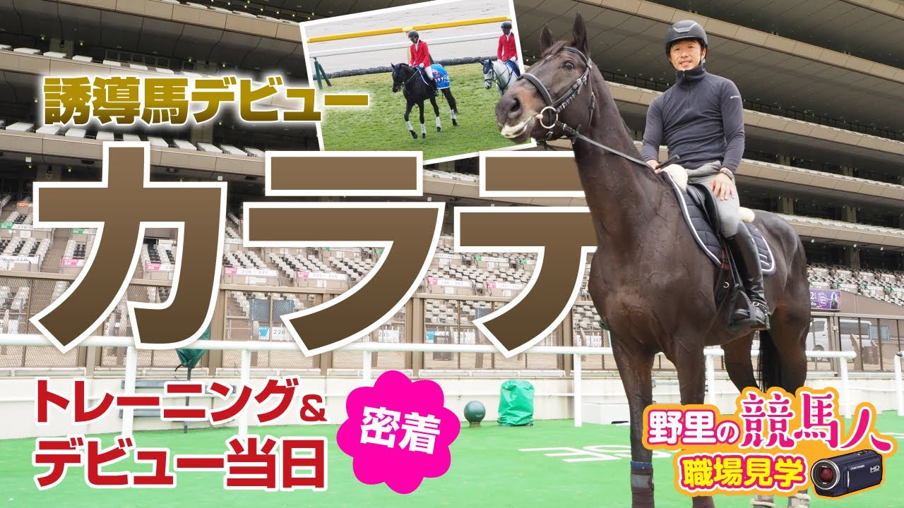 【カラテ】誘導馬デビュー　リトレーニング＆デビュー日密着！菅原明良騎手かけつけナデナデ