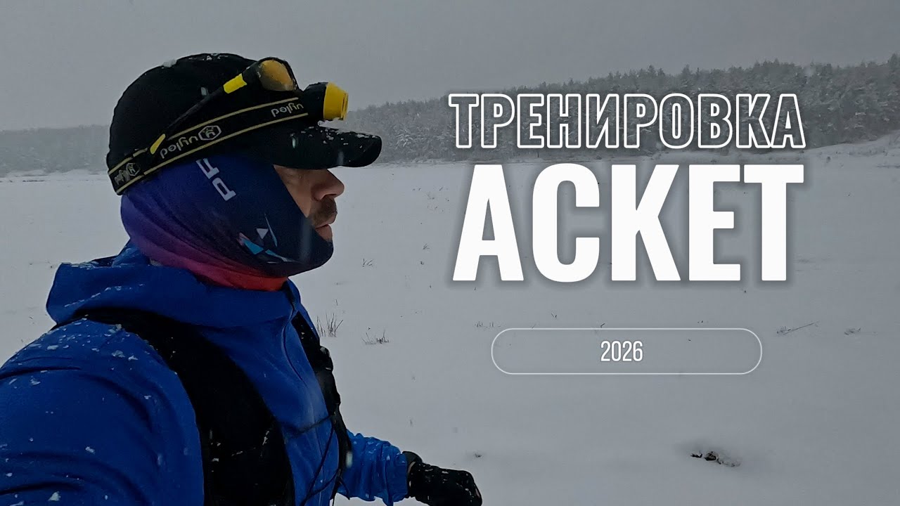 Забег в зимнем лесу