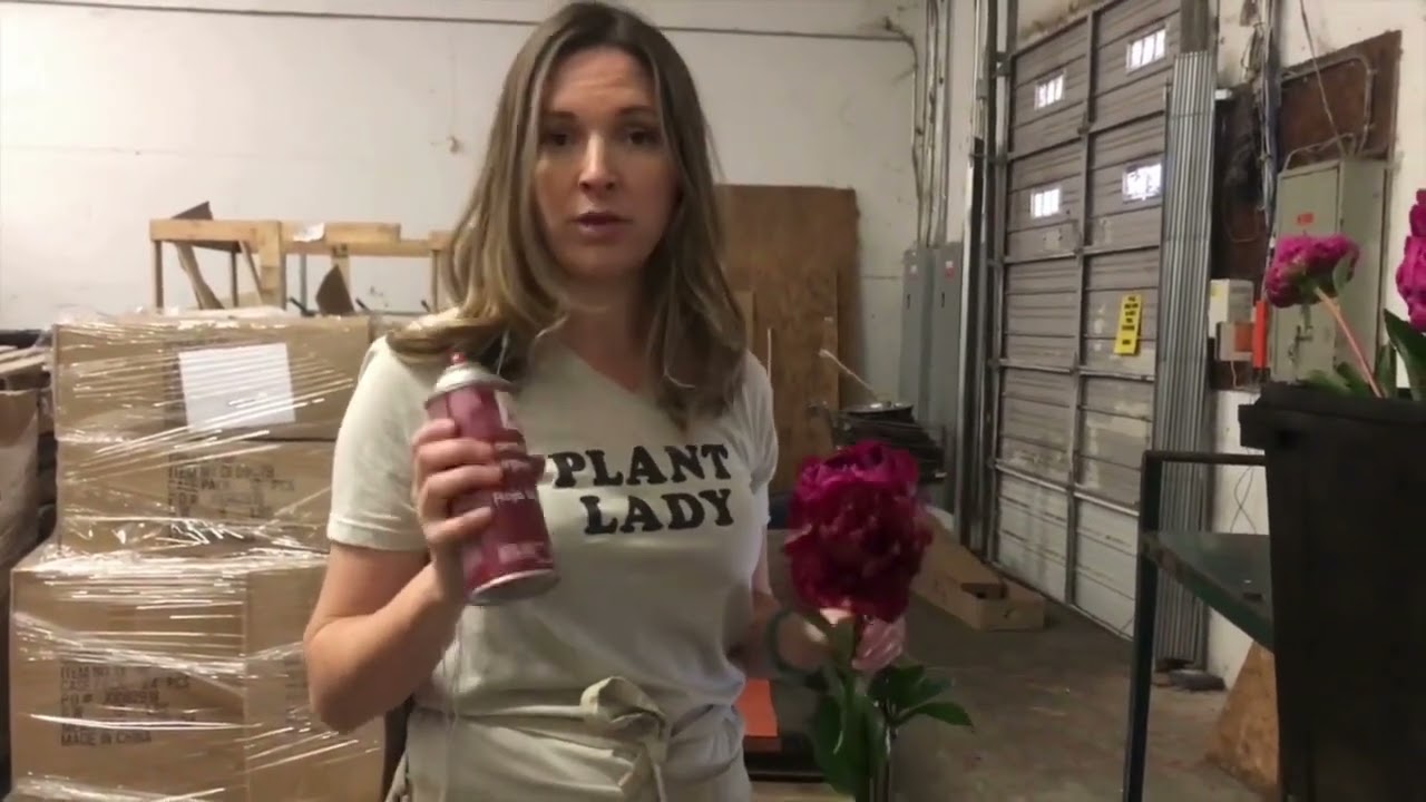 Transform Your Blooms with Design Master Floral Spray Paint! 🌸✨ -Design Master Colortool Spray Paint