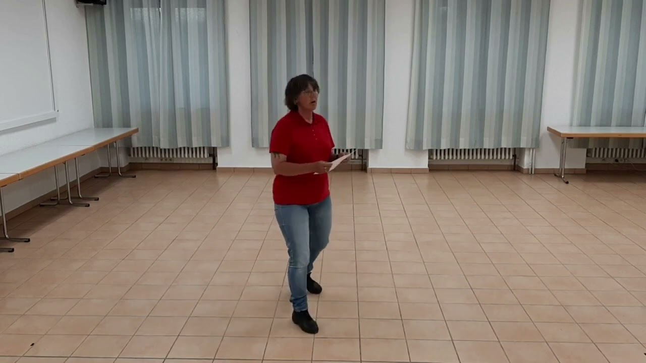 Really Love Lernvideo Teach & Dance Line Dance Biene Teil 1