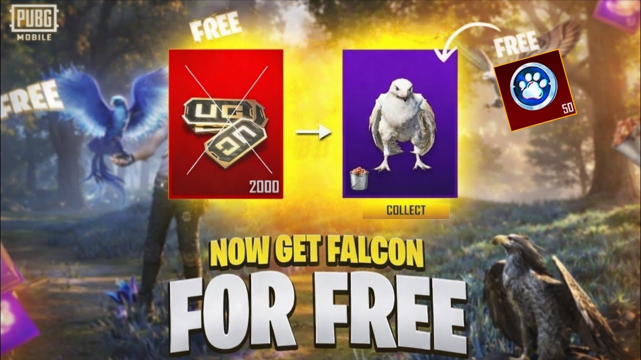 Get 100% Free Flcon  Companion And New Mythic Suit | Get Free UC New Event Is Here | PUBGM