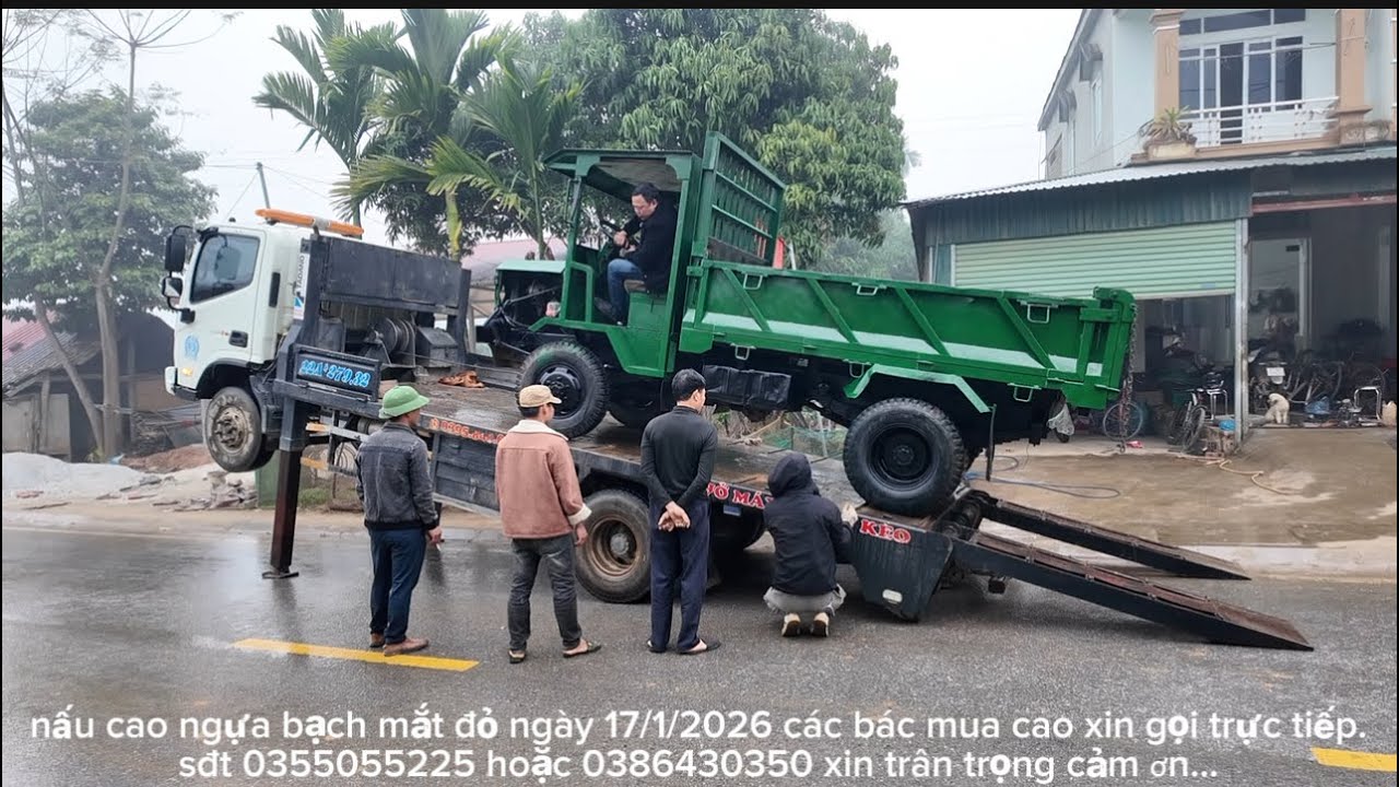 A LÙ cười tít mắt khi trọn được xe ưng cái bụng.sáng sớm thuê xe tải chở công nông về bản.#gaiban