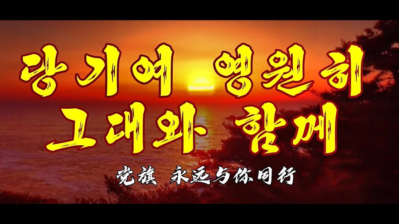 당기여 영원히 그대와 함께 党旗 永远与你同行