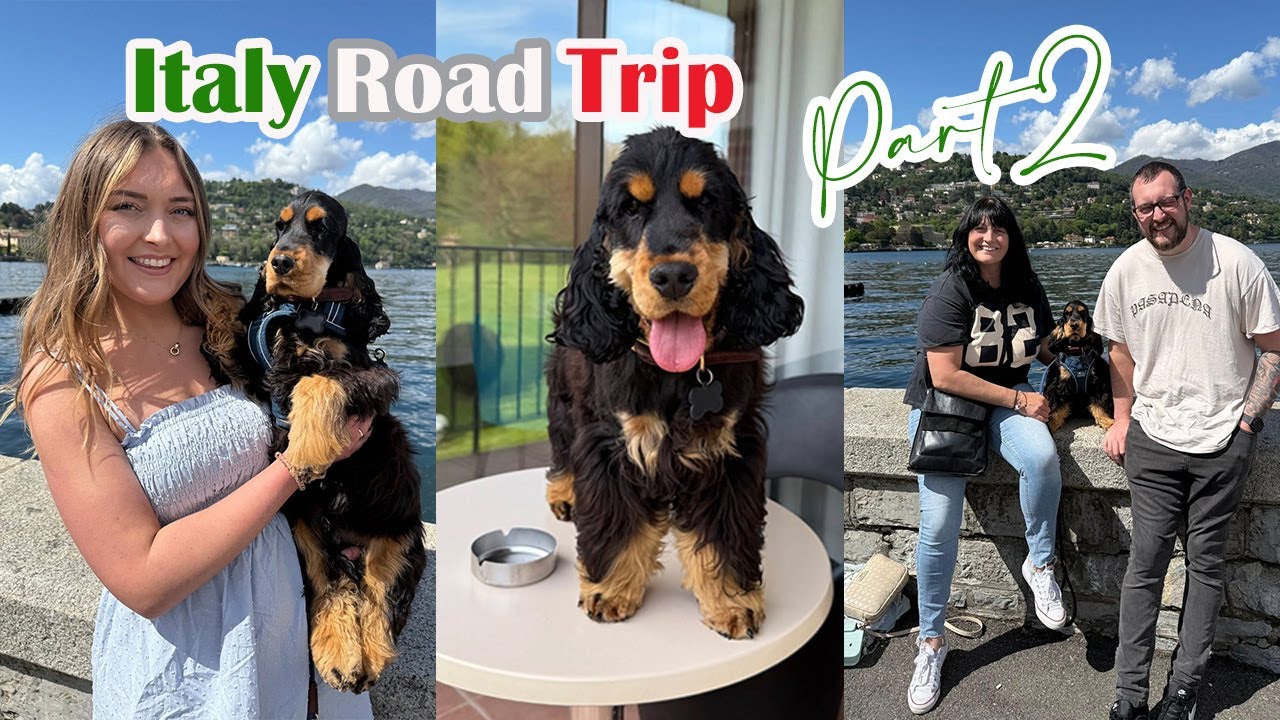 Italy - Lake Como & Florence with our new Cocker Spaniel // Lollipop1996