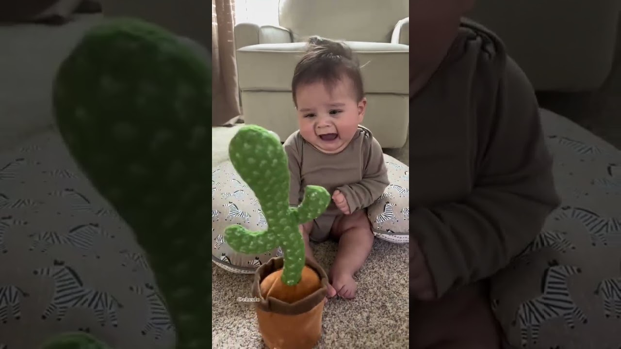 Cactus toy prank on babies gone wrong! Watch these hilarious baby reactions to the dancing cactus&mdash;cu