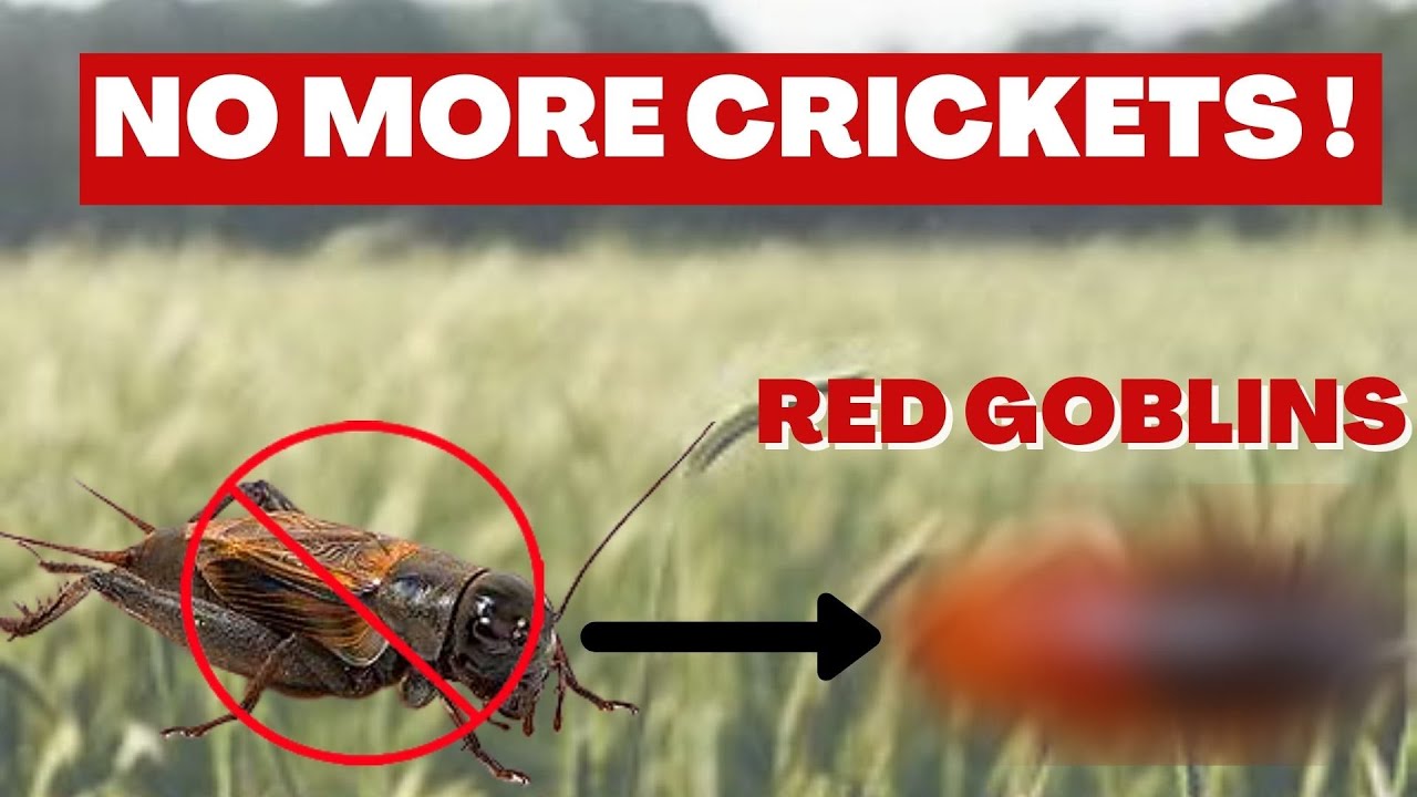 Red Goblin -  No More Crickets!