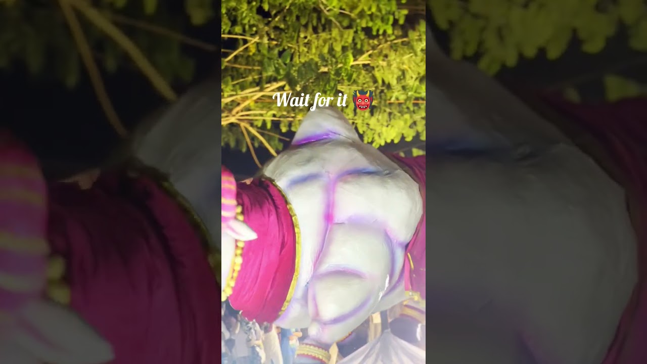 #goavlog #northgoa #southgoa #shigmogoa #shigmotsav #shigmofestival #shigmo