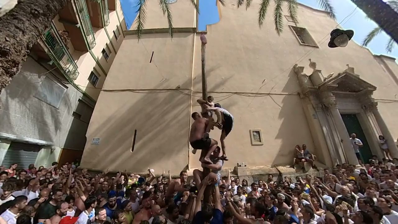 La Tomatina - They Almost got The Ham! so close!