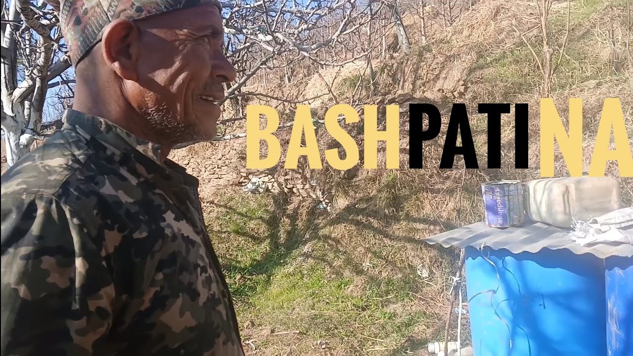 Bashpatina 🍐