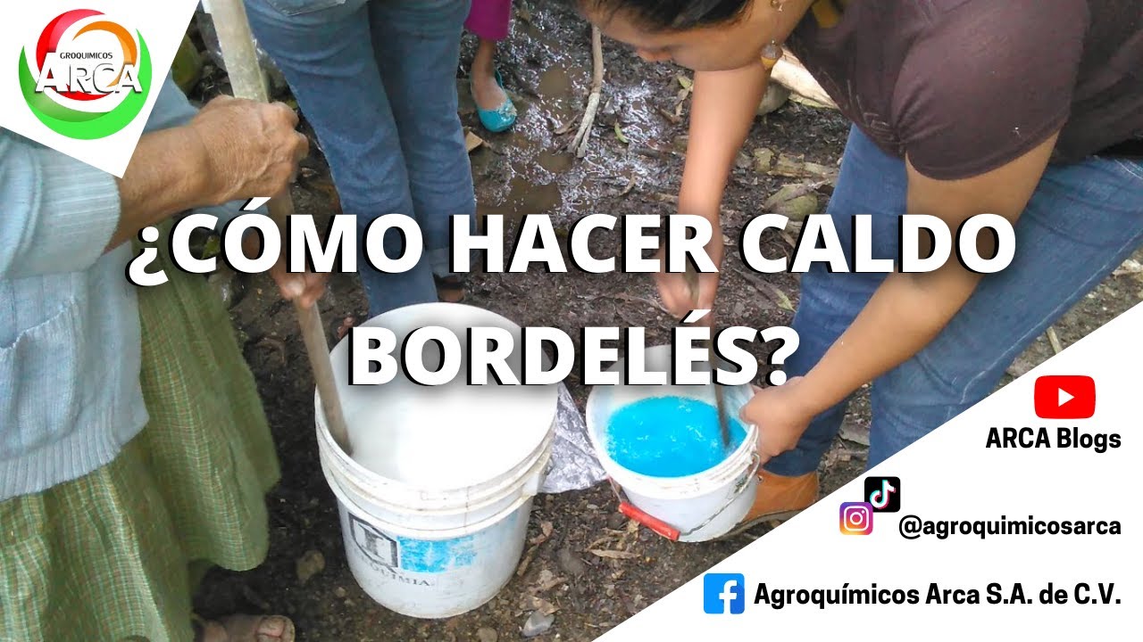 VAMOS A PREPARAR CALDO BORDELÉS PARA NUESTRO CULTIVO