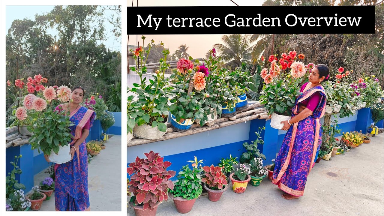 My Terrace Flower Garden | Flower Garden Overview | Flower Garden in Rooftop #flowergarden #flowers