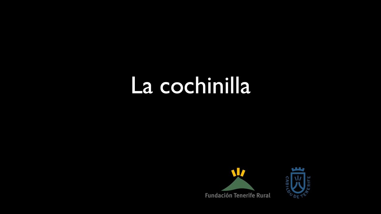 La cochinilla