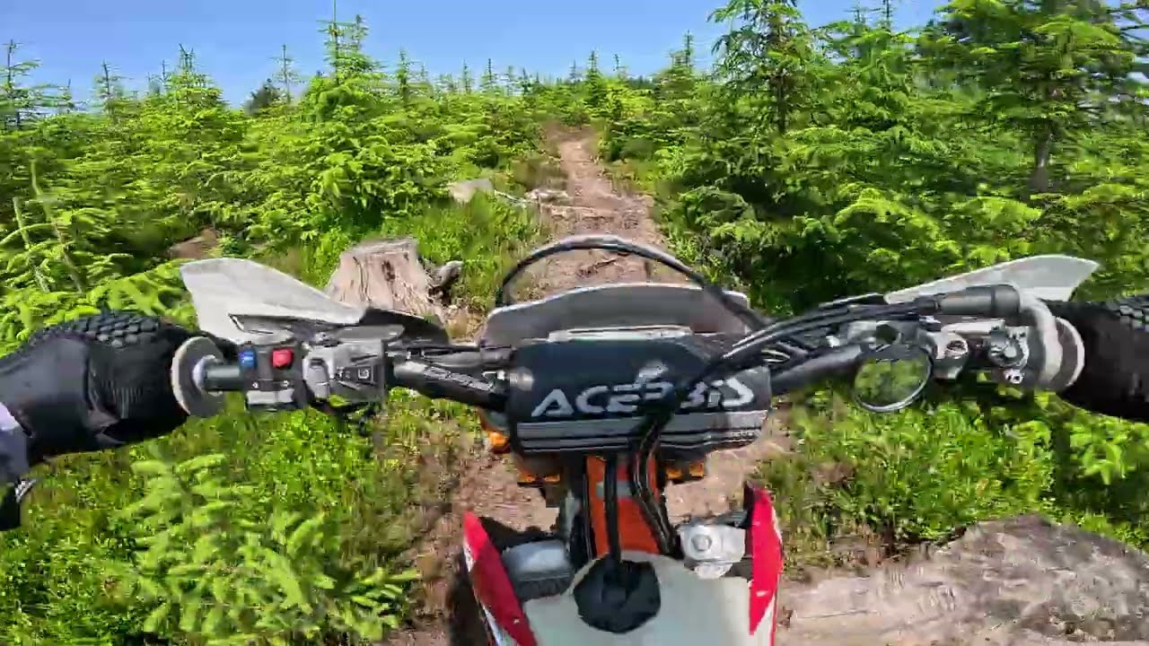 Hard Enduro in the Wild: Deer, Swamps & Overgrown Paths