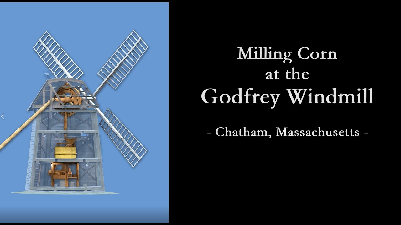 Milling Corn at the Godfrey Windmill