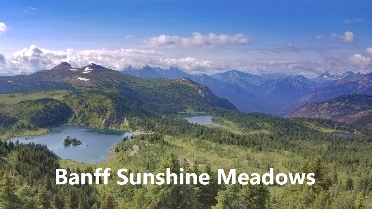Sunshine MEADOWS Hiking trail in Banff National Park