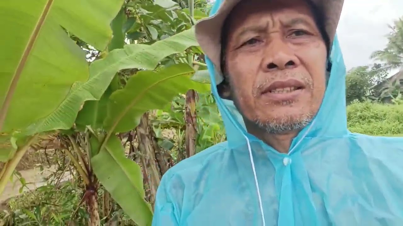 MARI BERKEBUN BARAYA