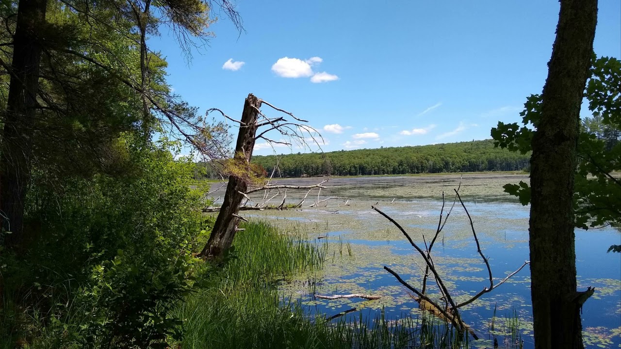 Stone Road Trail at Eagle Reserve, Mount Grace Land Conservation Trust