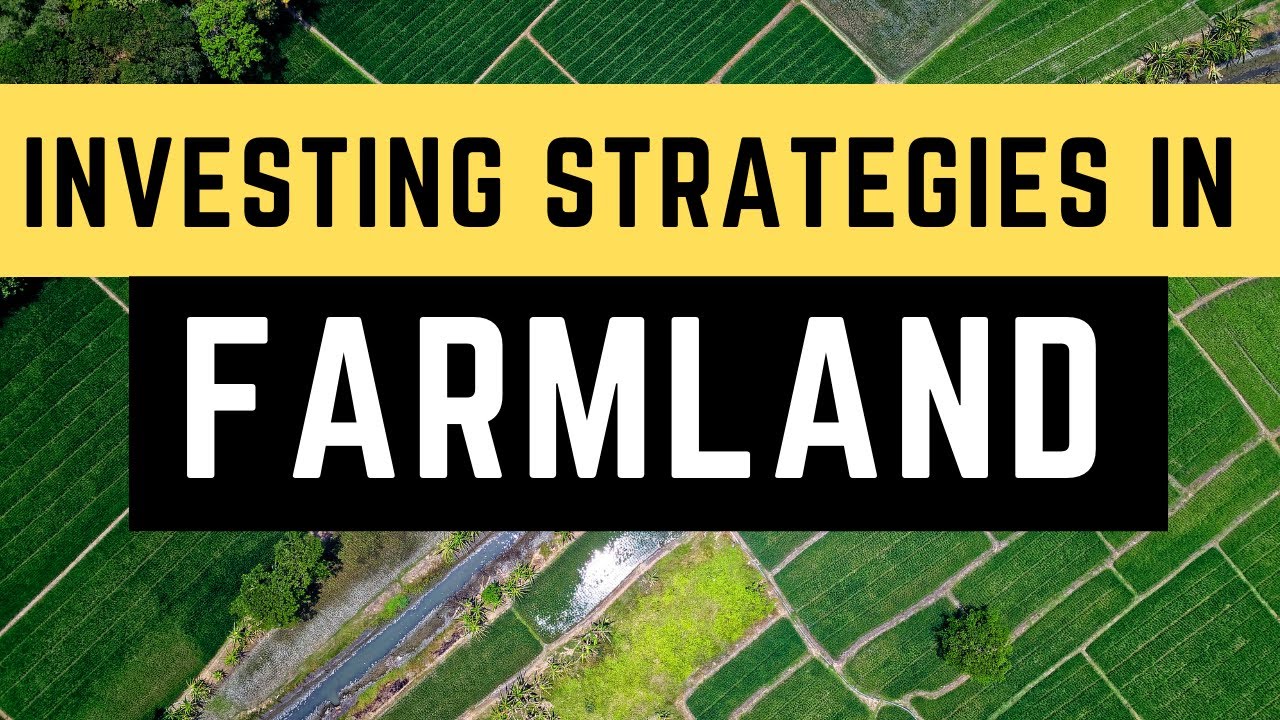 Investing in Farmland: An Investor's Guide to this Overlooked Part of the Real Estate Market