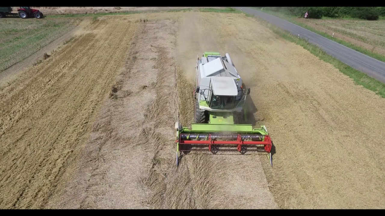 Olivers Ernte 2017