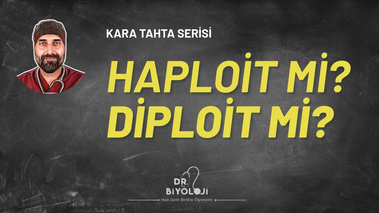 n mi? 2n mi? | Kara Tahta Serisi | Dr. Biyoloji