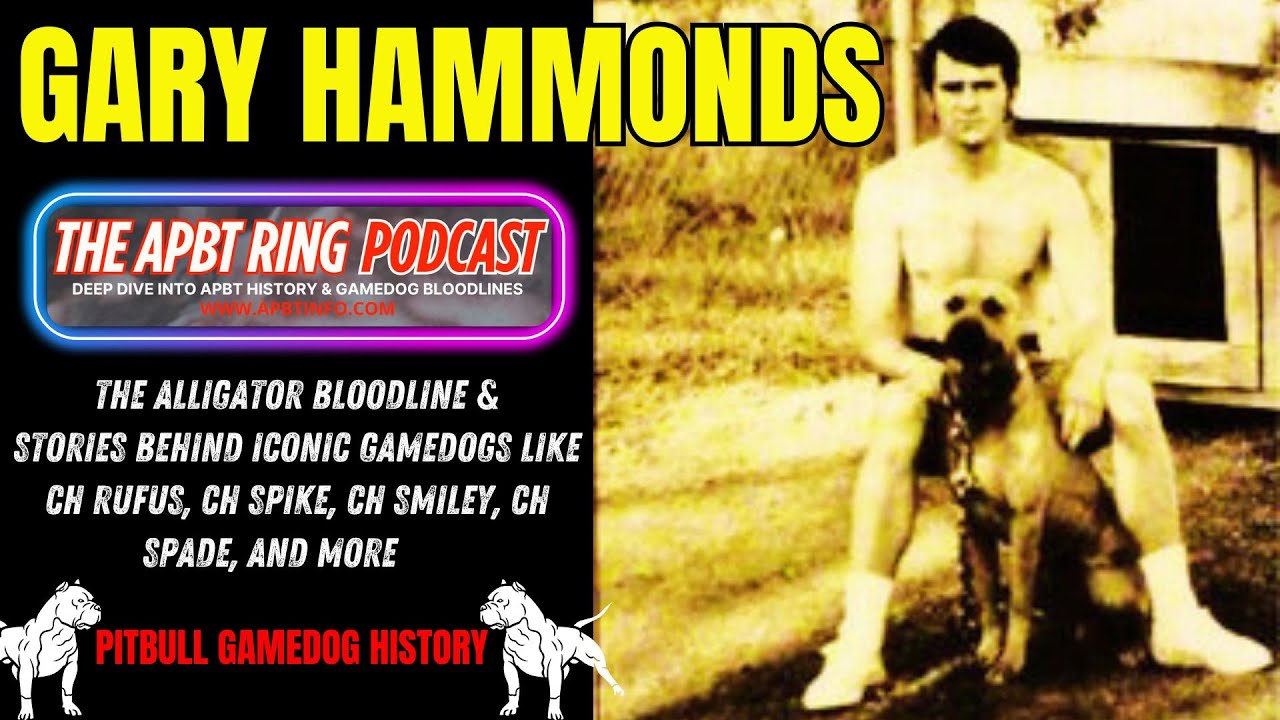 The story of GARY HAMMOND & The ALLIGATOR APBT BLOODLINE | APBT GAME DOG HISTORY