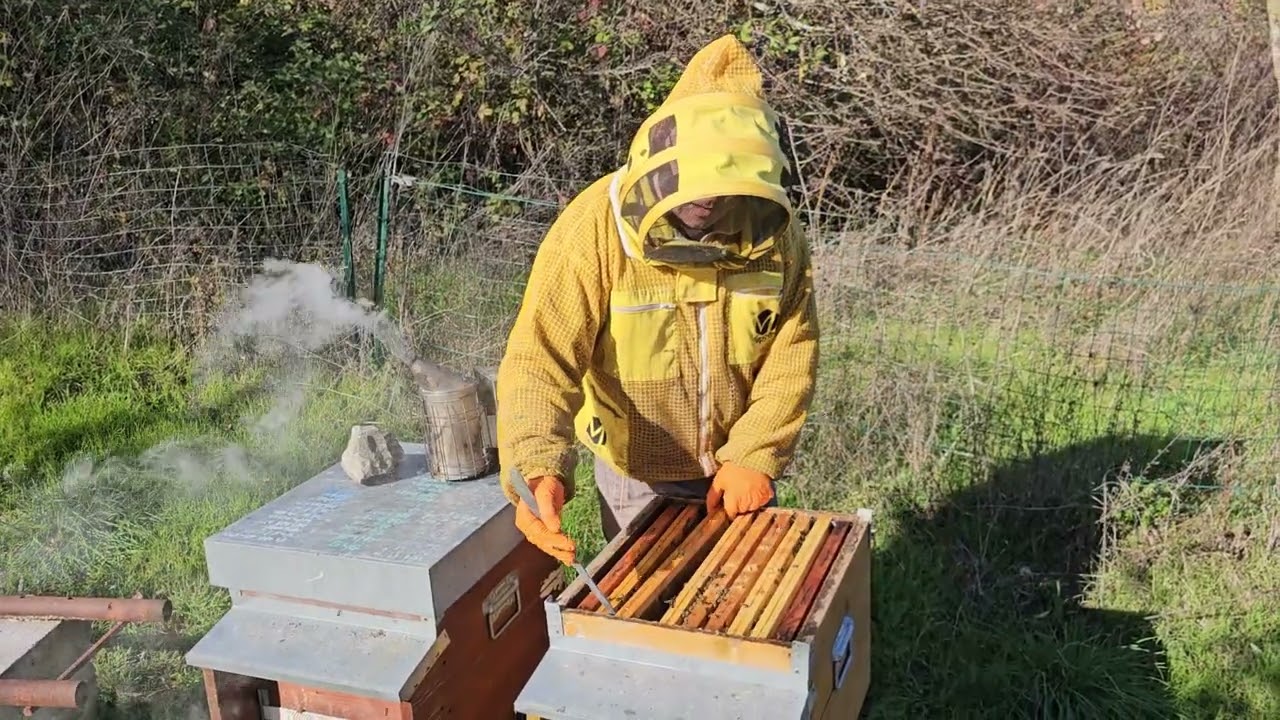 Obiettivo principe: varroa ai minimi termini!