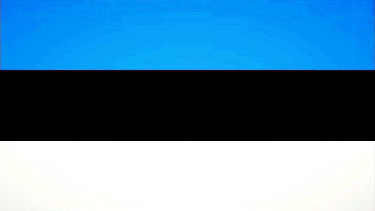 Eesti lipp (karaoke)