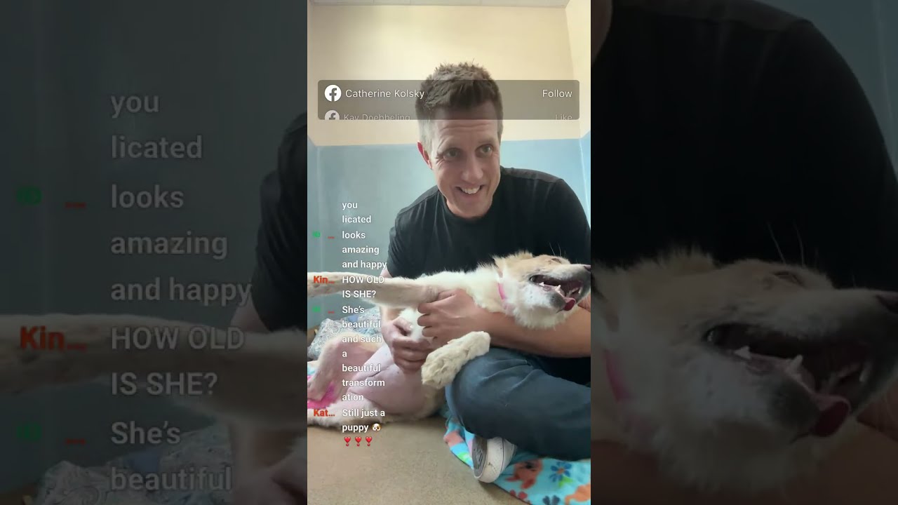 BIG Pupdate on Katie (Live 🔴)