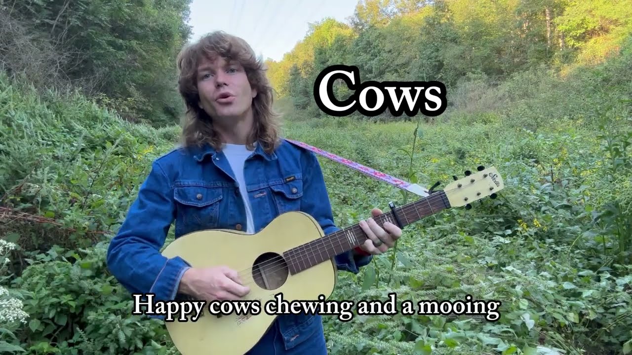 Cows