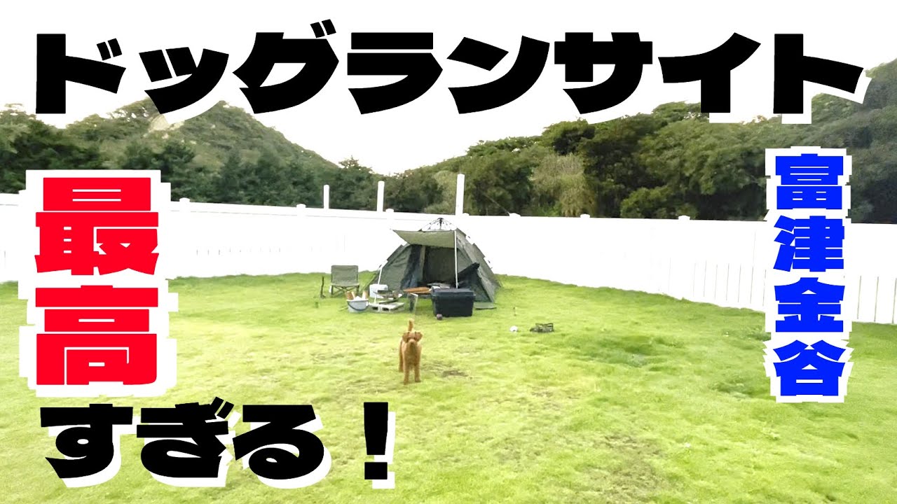 【犬とキャンプ】【前編】千葉のドッグランサイトに泊りがけで行ってきました～【トイプードルのわらび】