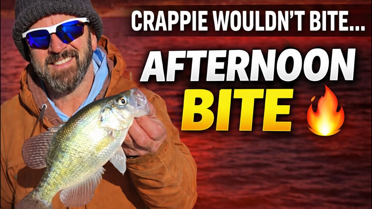 4K -  Crappie Fishing Gone wrong. Catfish to the rescue then afternoon Crappie bite was HOT!
