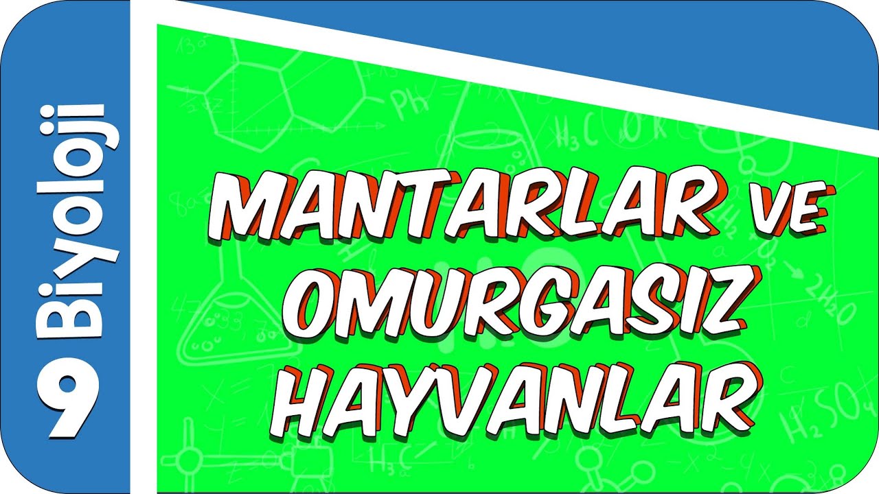 9. Sınıf Biyoloji: Mantarlar ve Omurgasız Hayvanlar  #2022