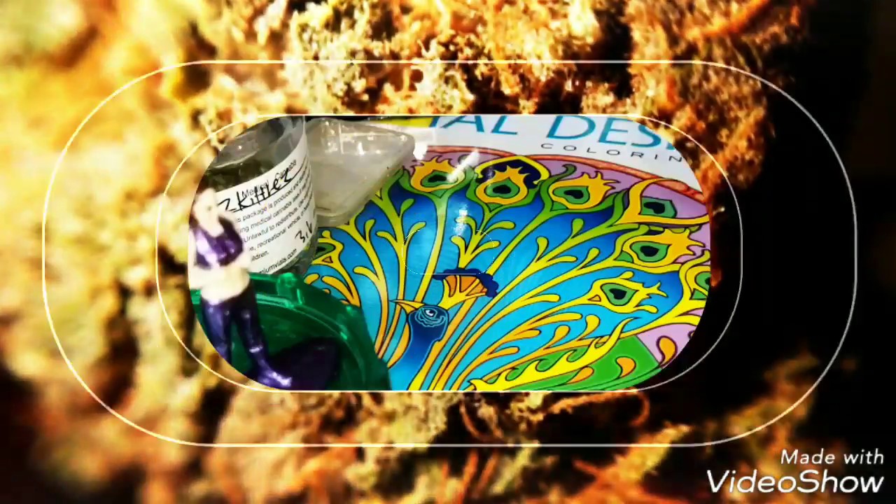Sapphire Scout Awareness🍪🔷-BayBudz Reviews📺